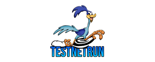 TestNetRun